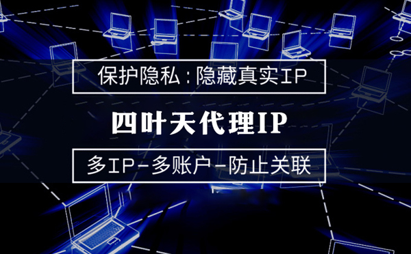 【宁夏代理IP】服务器代理ip如何选择？如何挑选服务器代理商